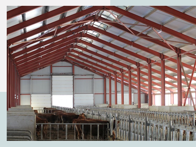 Строительство коровников в Дюртюли