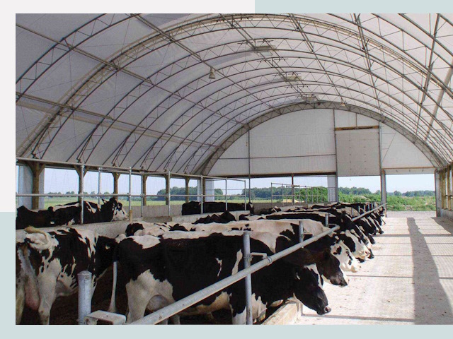 Тентовые коровники в Дюртюли